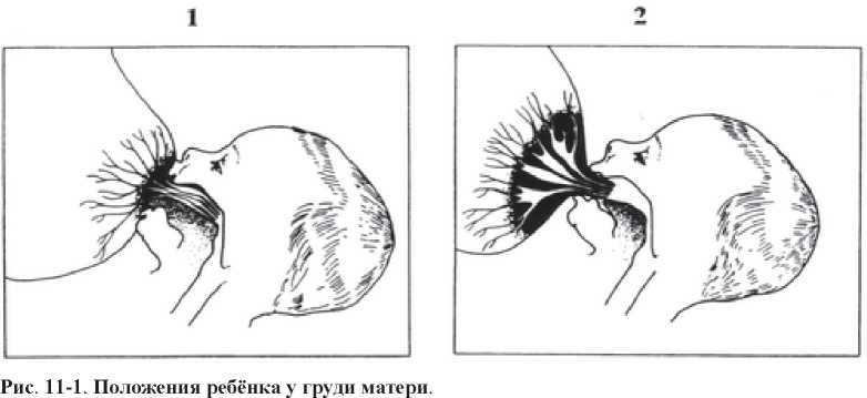 123.jpg