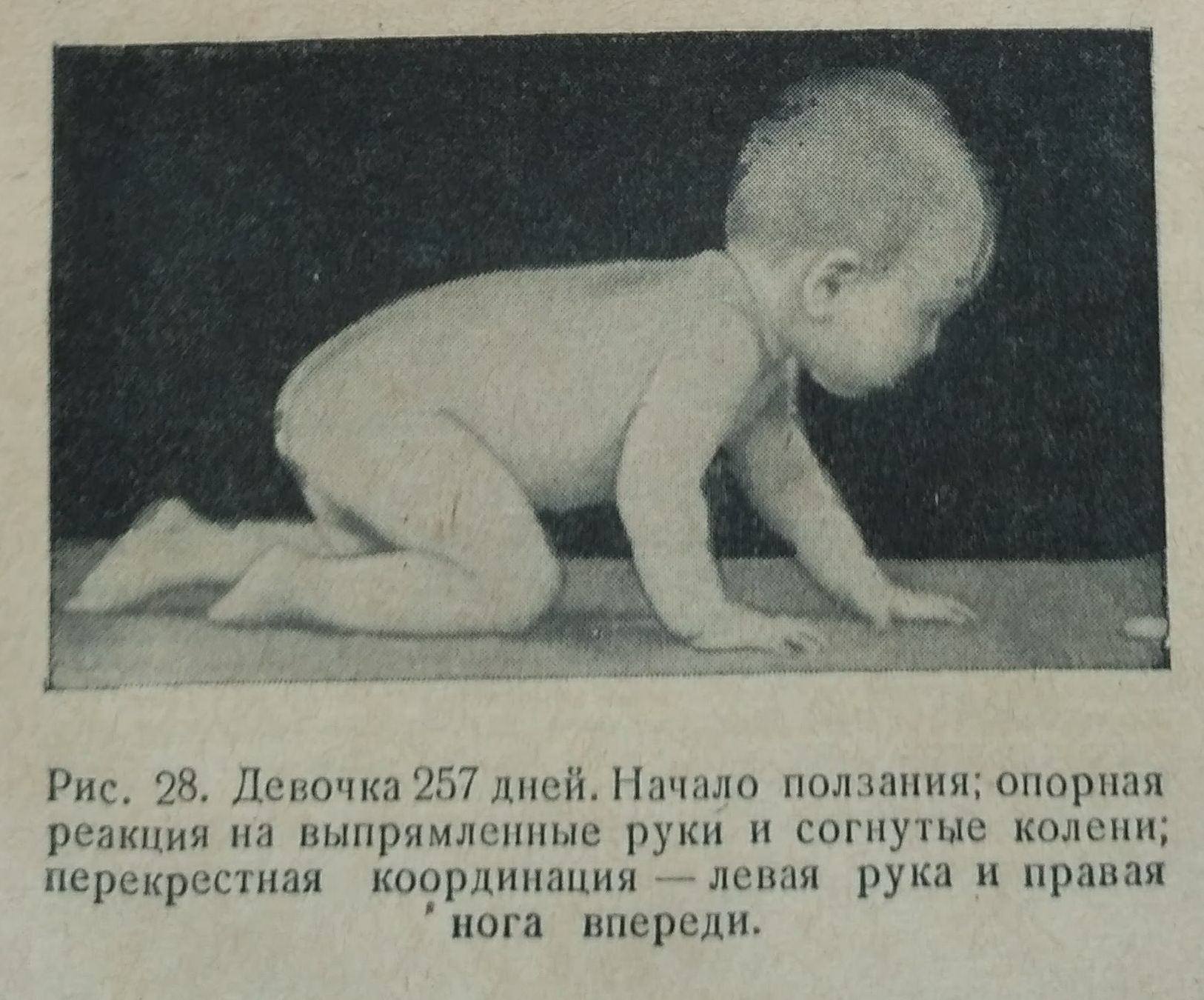97vei1q3wws.jpg