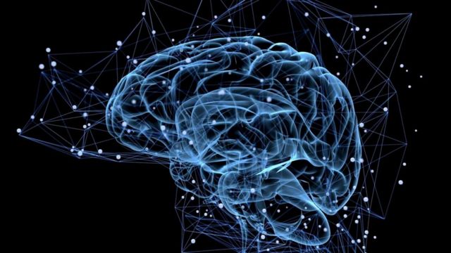 _92222674_brains1.jpg