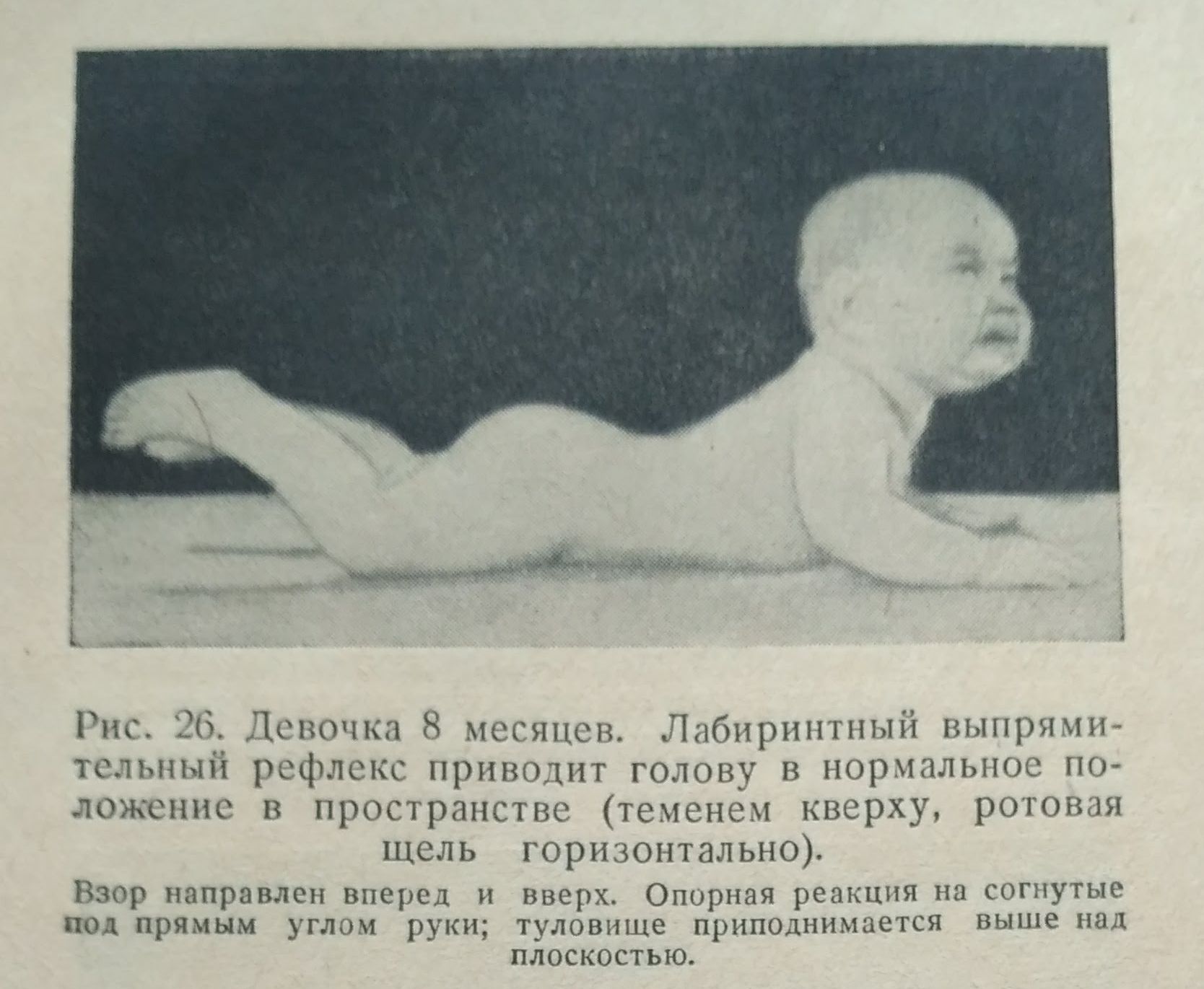 a2QevpzMyuQ.jpg