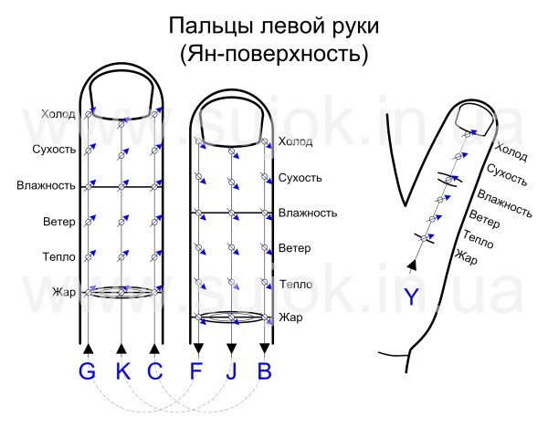 364