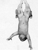 diag_clip_image033.gif