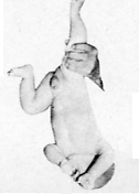 diag_clip_image036.gif