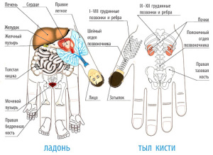ladon-til-kisti-300x219.jpg