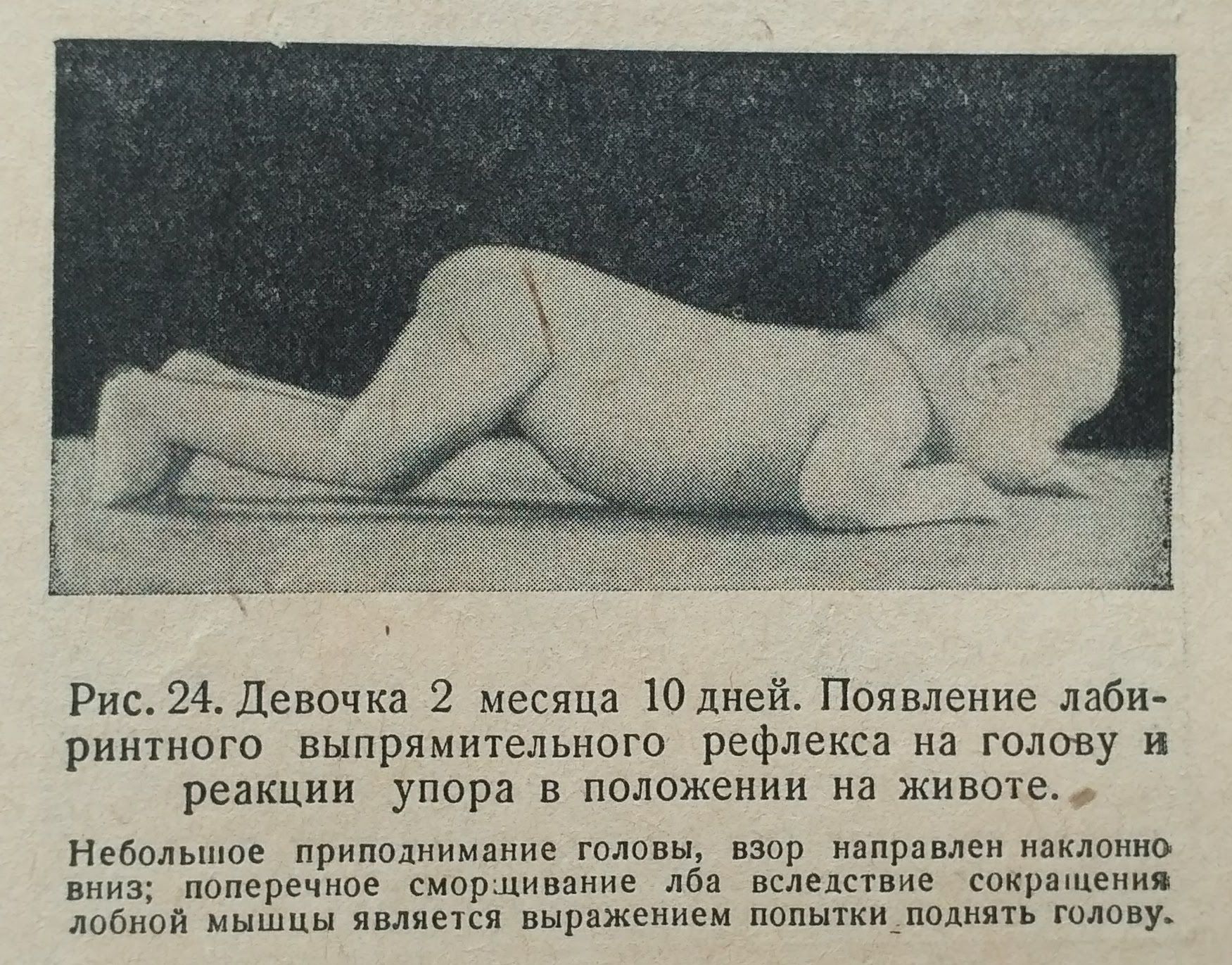 nAiyhfC3q0U.jpg
