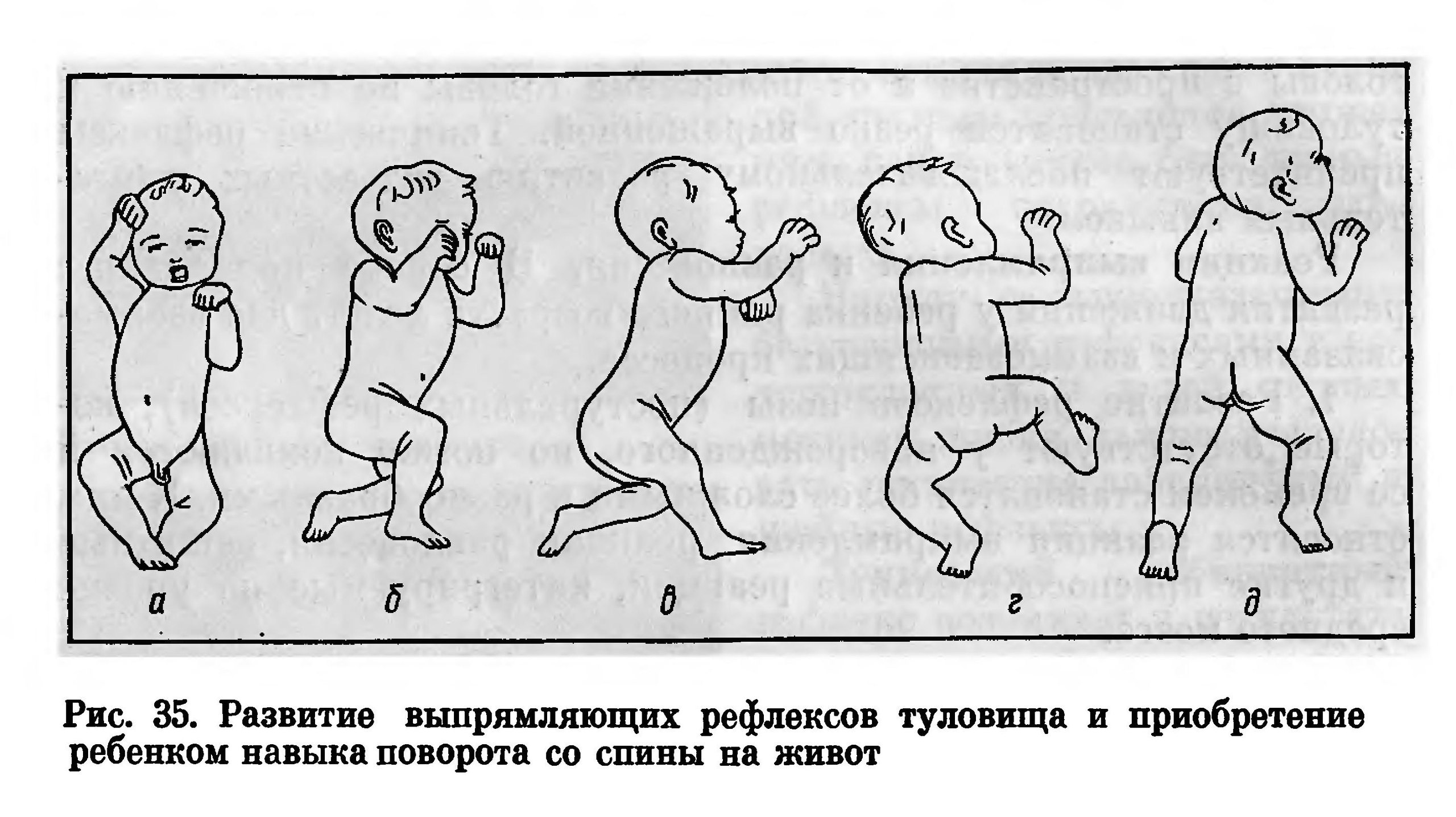 SDYg3eI.jpg