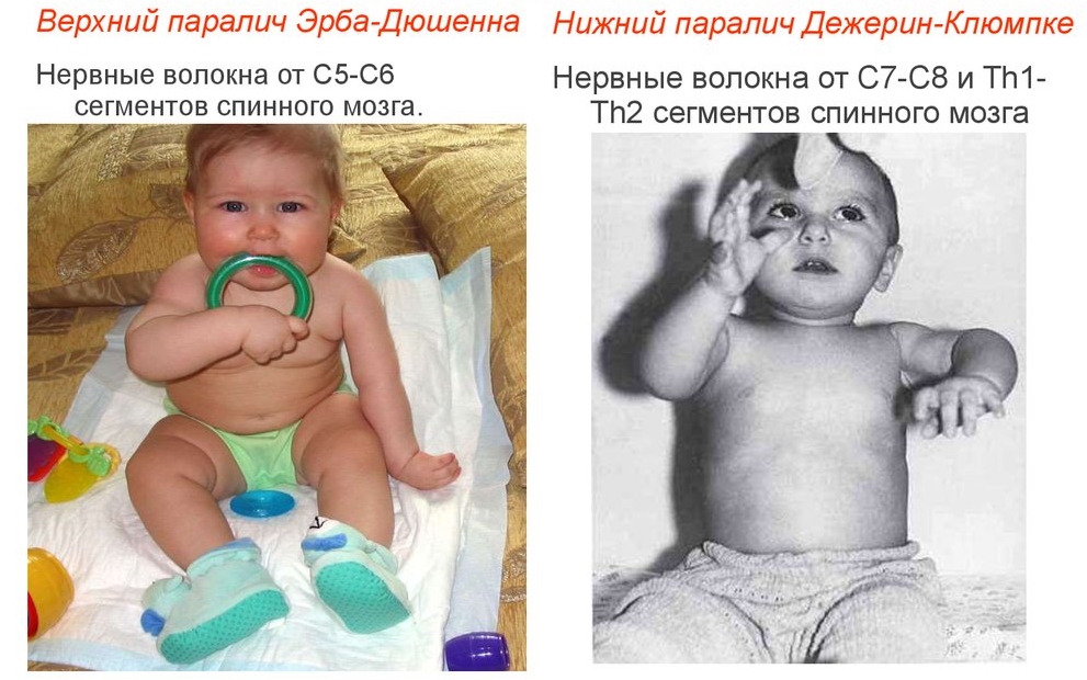 slide-15.jpg