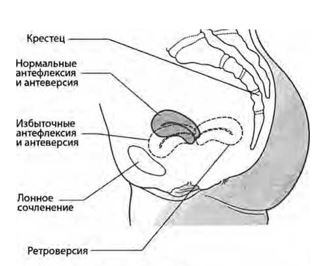 Снимок.JPG
