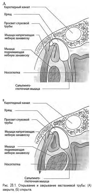 Снимок.JPG