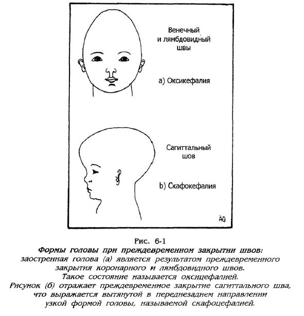 Снимок.JPG