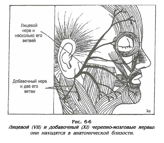 Снимок.JPG