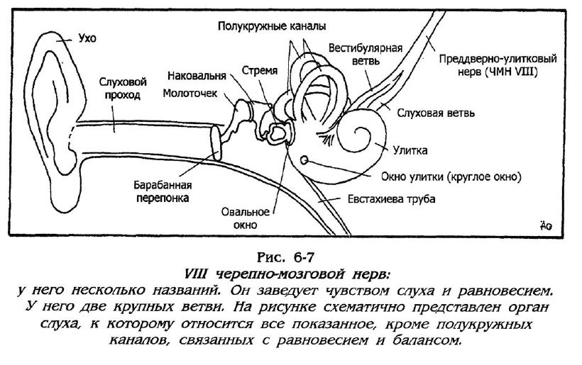 Снимок.JPG