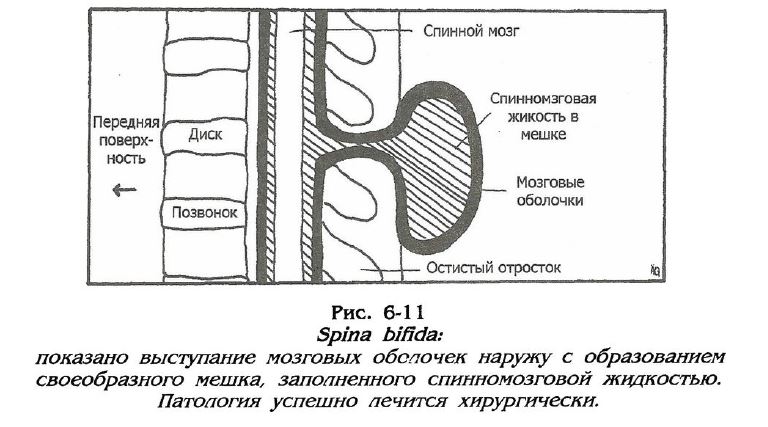 Снимок.JPG