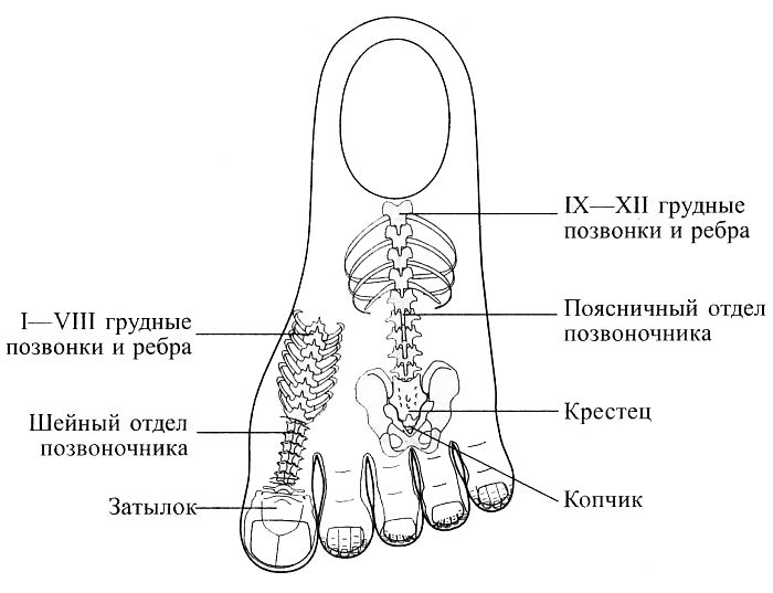 386